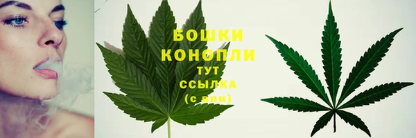 мескалин Новодвинск