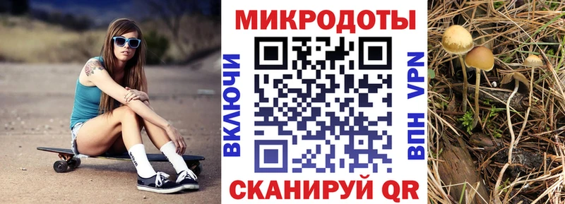 Галлюциногенные грибы Cubensis  сколько стоит  Серпухов 