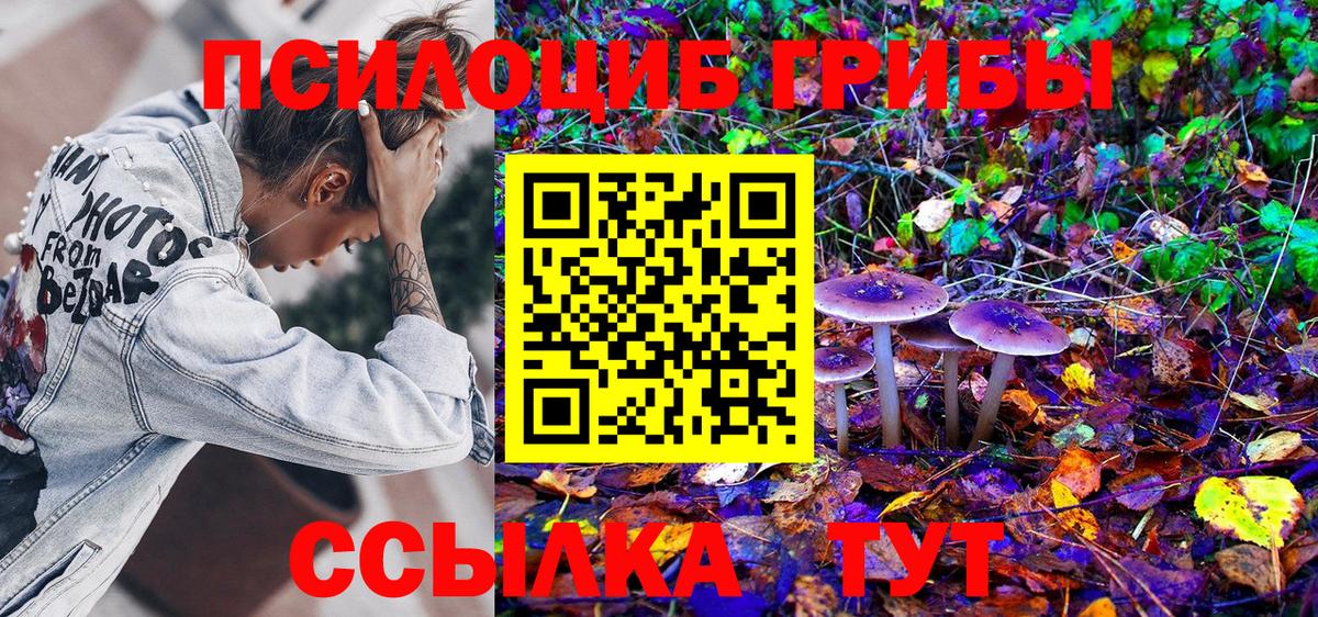 Галлюциногенные грибы мицелий Серпухов