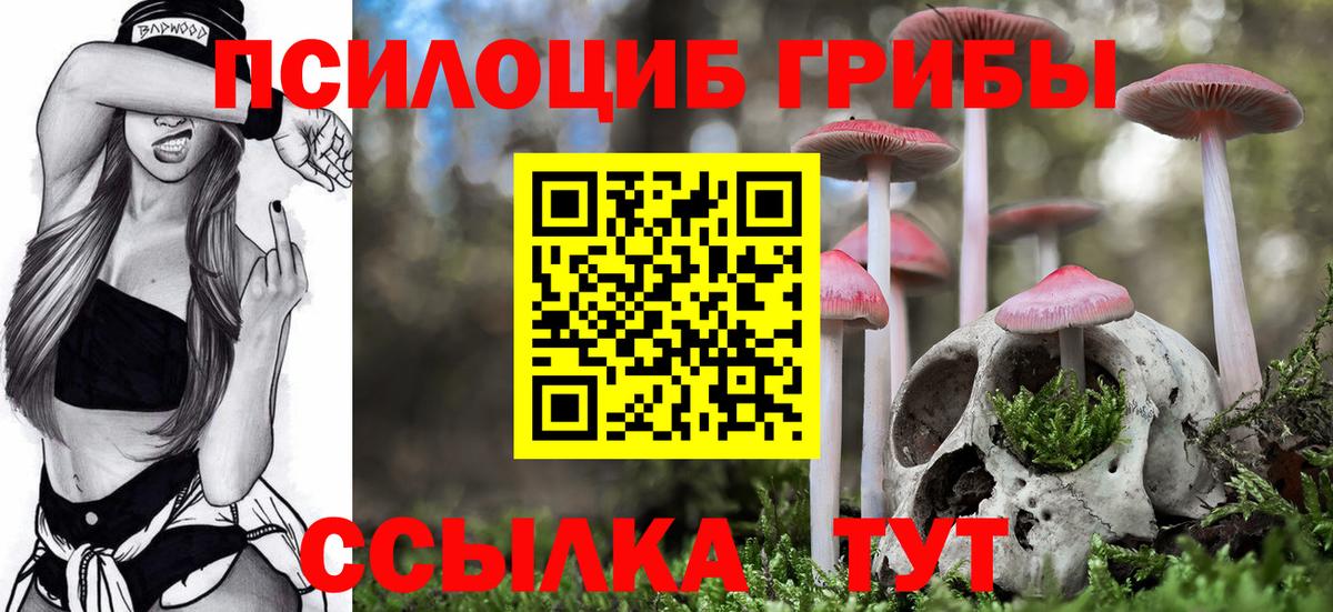 купить  сайты  Серпухов  Галлюциногенные грибы ЛСД 